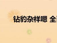 钻豹杂样嗯 全面真实评测与使用感受