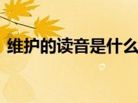 维护的读音是什么 正确发音与常见疑问解析