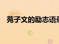 苑子文的励志语录 激励你前行的温暖箴言