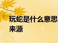 玩蛇是什么意思 - 解析网络流行语的含义与来源