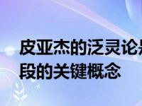 皮亚杰的泛灵论是什么意思 儿童认知发展阶段的关键概念