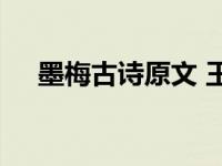 墨梅古诗原文 王冕名作全文及诗意解析