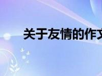 关于友情的作文 相伴成长的真挚羁绊