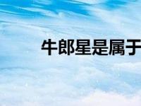 牛郎星是属于什么星座 天鹰座主星