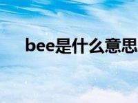 bee是什么意思中文 蜜蜂的含义与用法