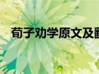 荀子劝学原文及翻译 全文注释与白话译文