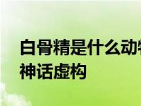 白骨精是什么动物 白骨精并非真实动物而是神话虚构