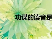 功谋的读音是什么 正确读音及详解