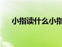 小指读什么小指手相文化含义深度解析